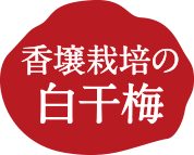 白干梅