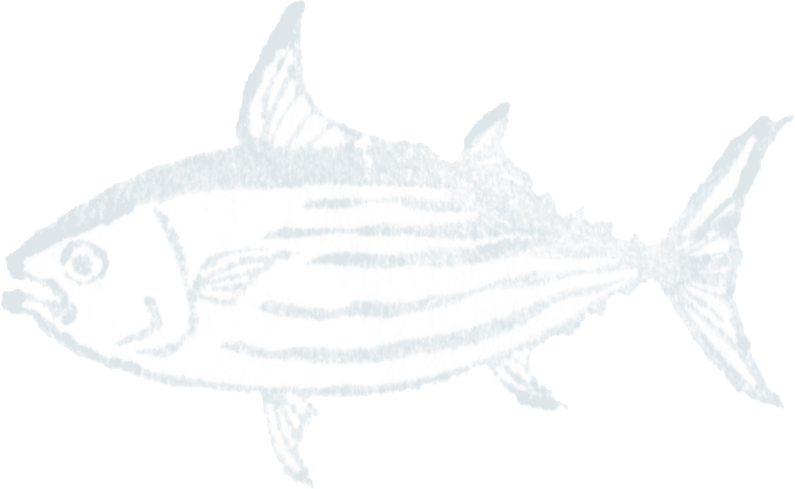 復刻かつお味梅 旨だし仕立て