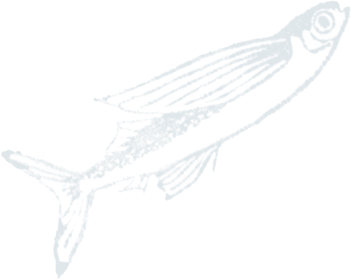 復刻かつお味梅 旨だし仕立て