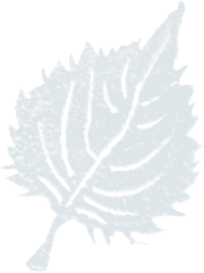 復刻かつお味梅 旨だし仕立て