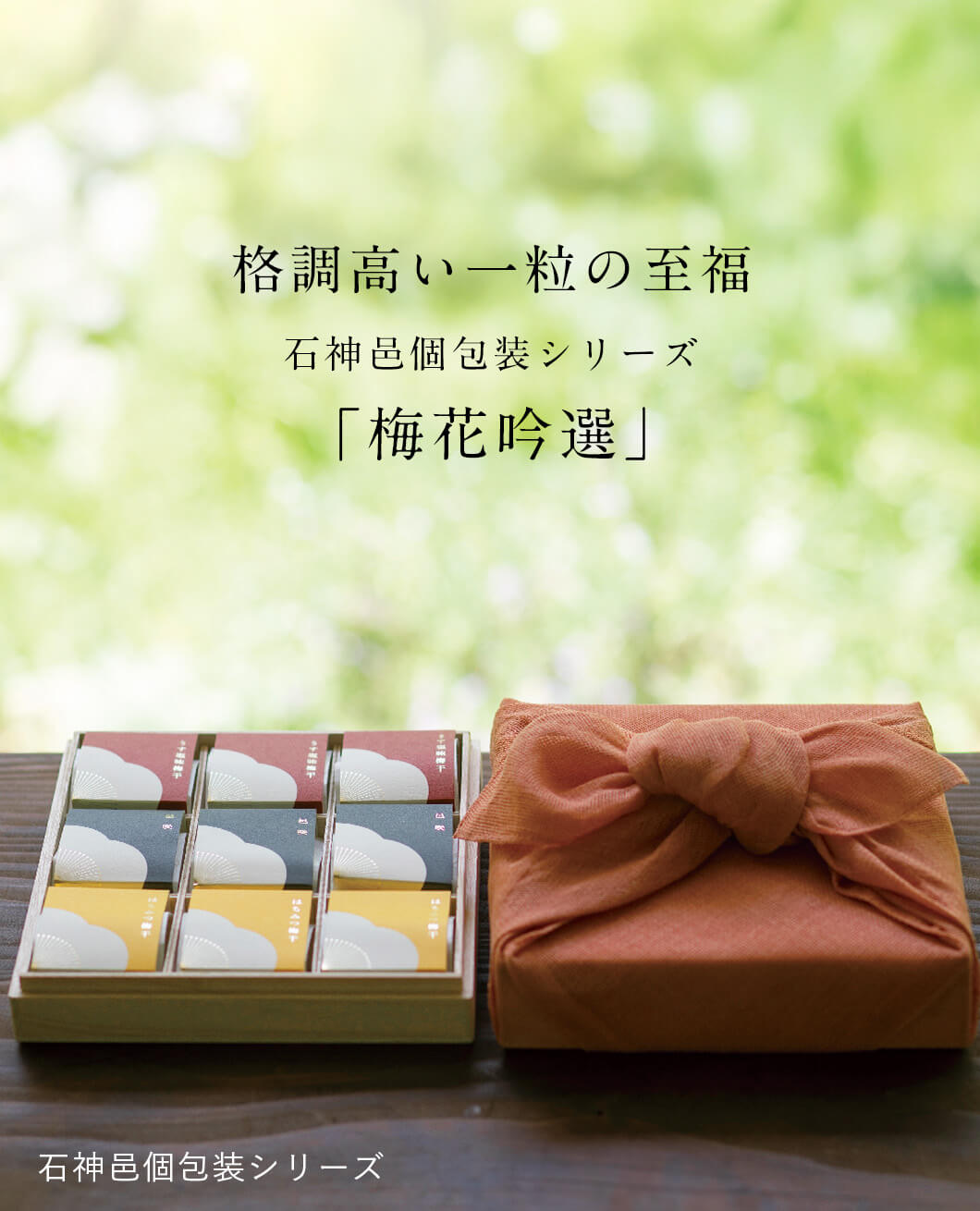 石神邑個包装9粒