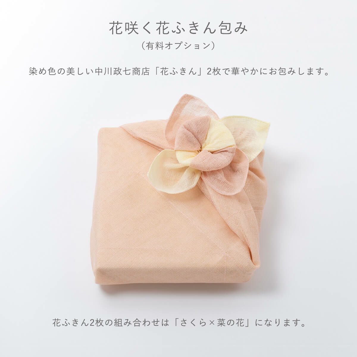  【春限定】春風の味 さくら乃 400g 木箱