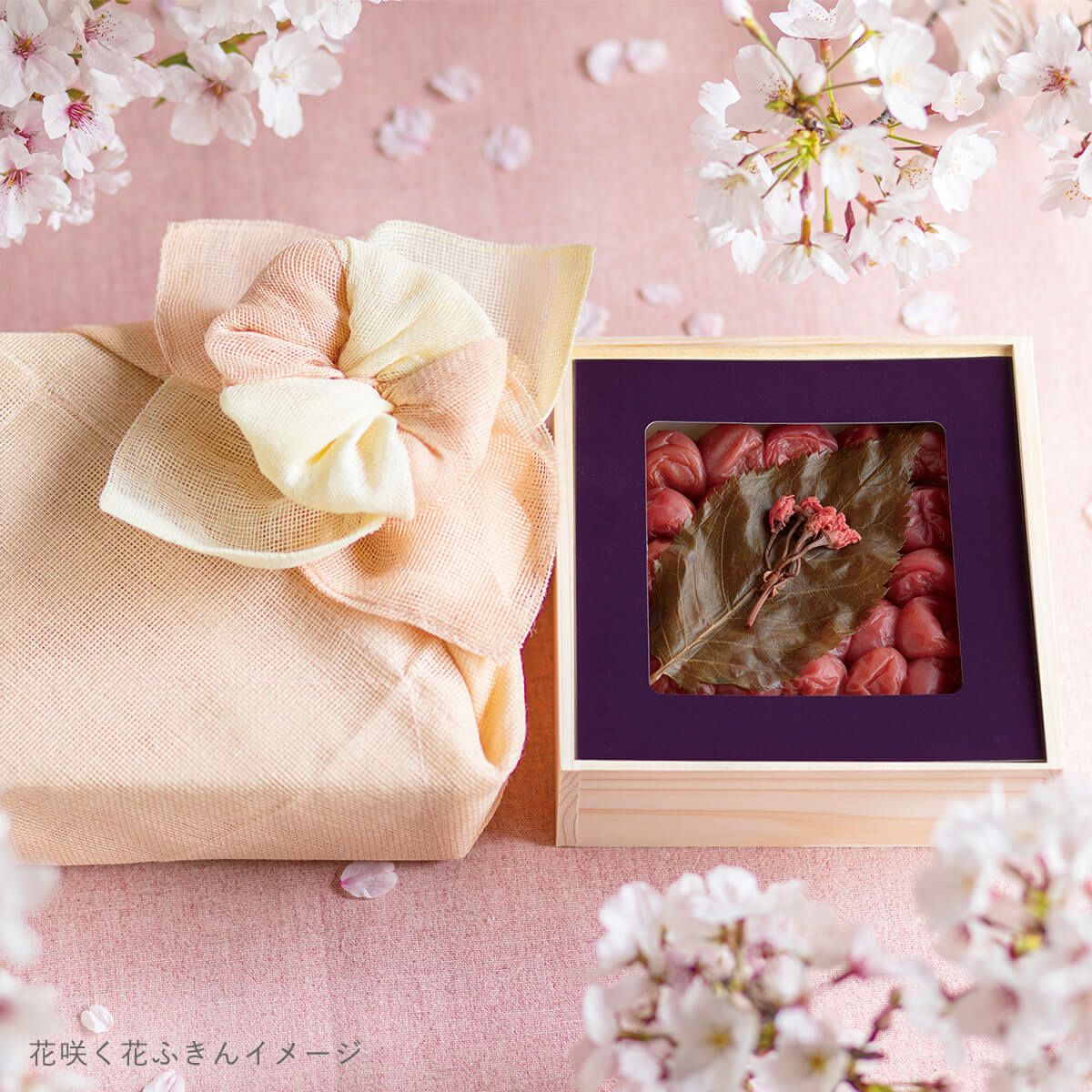  【春限定】春風の味 さくら乃 400g 木箱