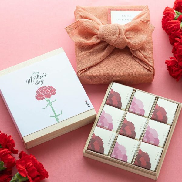 【母の日限定・送料込】 紀州南高梅個包装9粒入 花ふきん包みカーネーション生花1本つき 石神邑オンラインショップ