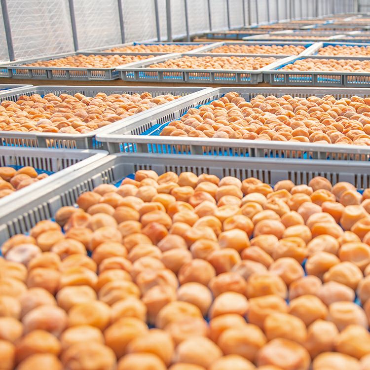 一番漬】 うす塩味梅干 木箱 400g　石神邑オンラインショップ