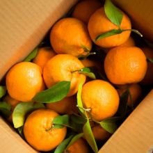 紀州産ぽんかん3kg